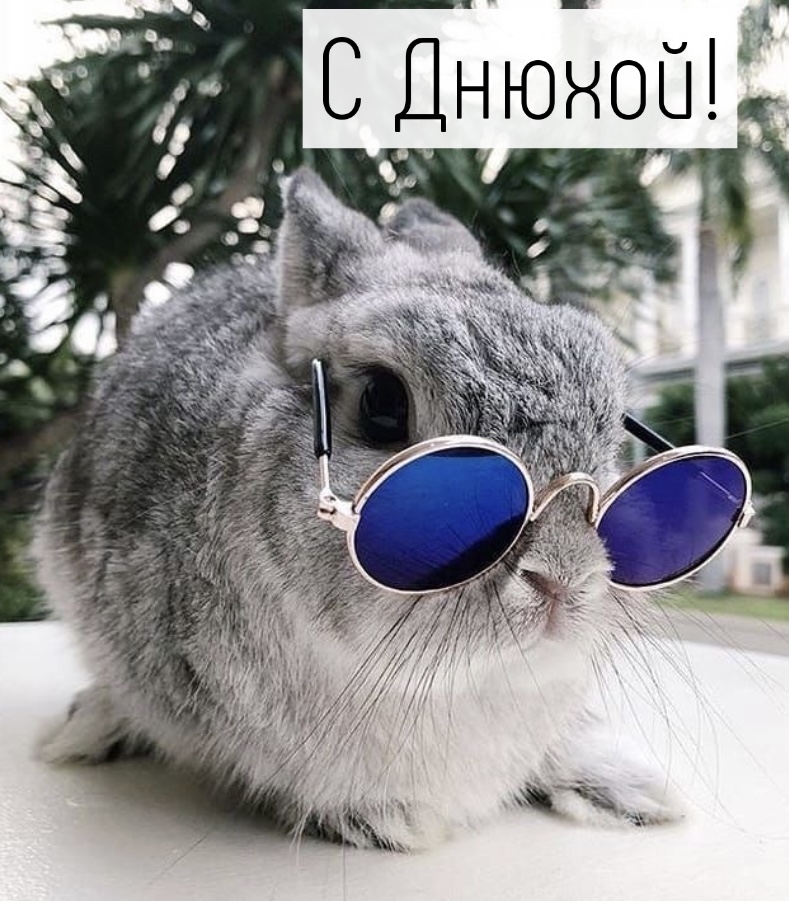 Картинки с надписями.  С Днюхой!.