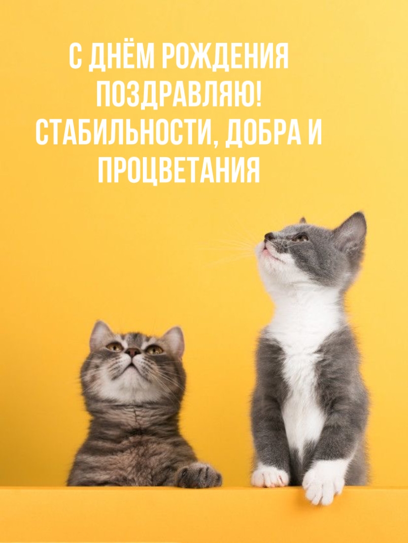 С Днём Рождения поздравляю!