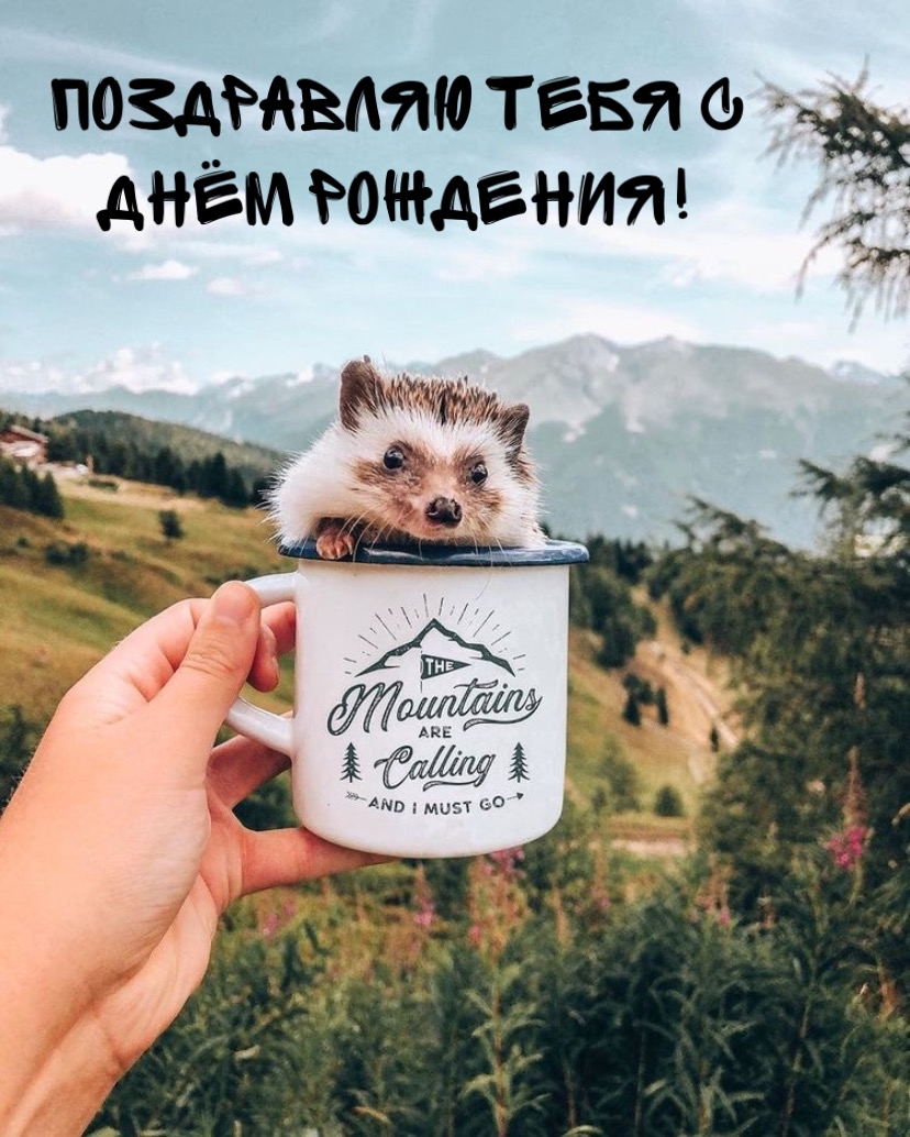 Поздравляю тебя с Днём Рождения!