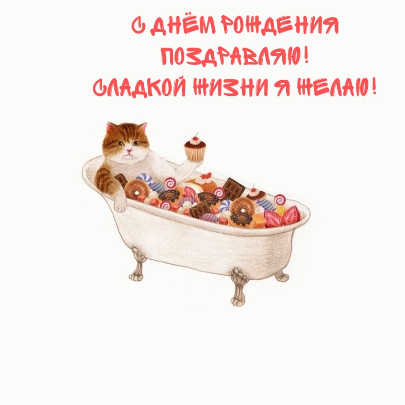 С Днём Рождения поздравляю! Сладкой жизни я желаю!