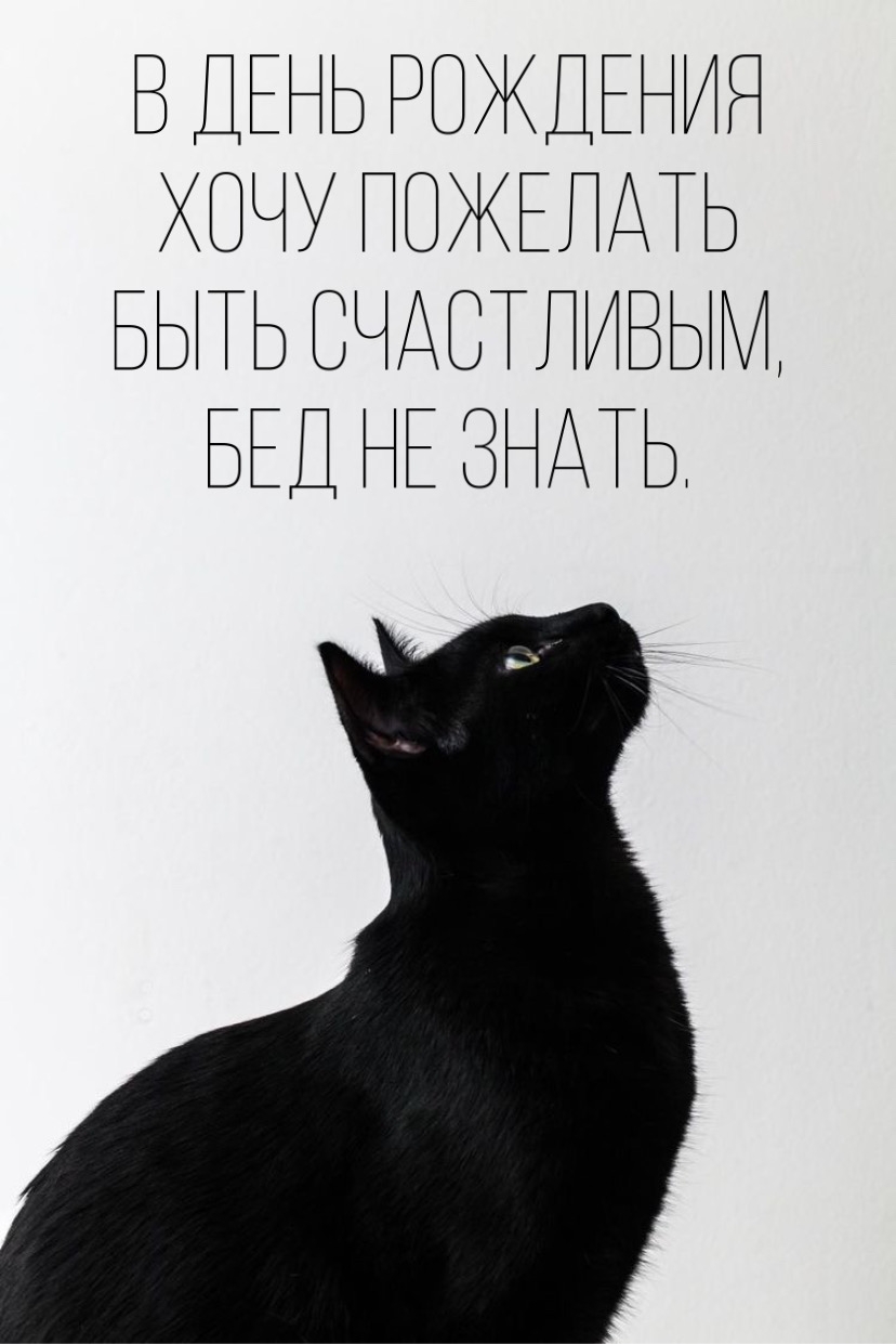 В день рождения хочу пожелать быть счастливым, бед не знать.