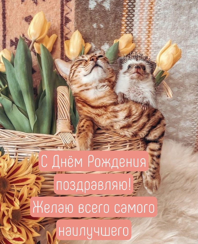 С Днём Рождения поздравляю! Желаю всего самого наилучшего