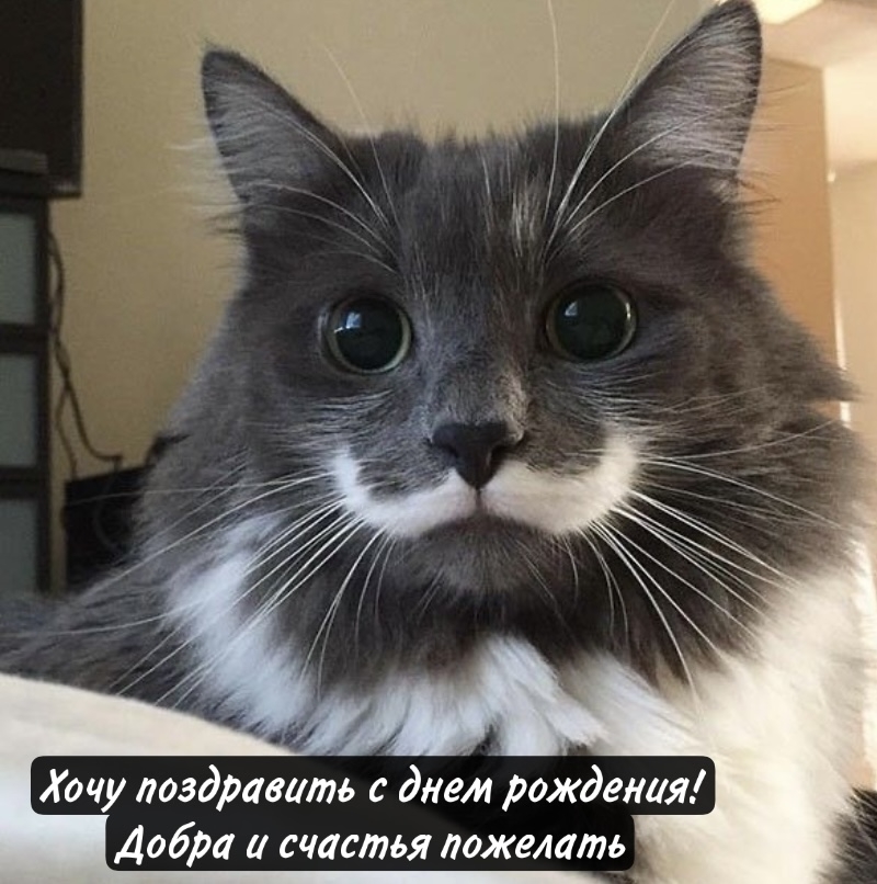 Хочу поздравить с днем рождения! Добра и счастья пожелать
