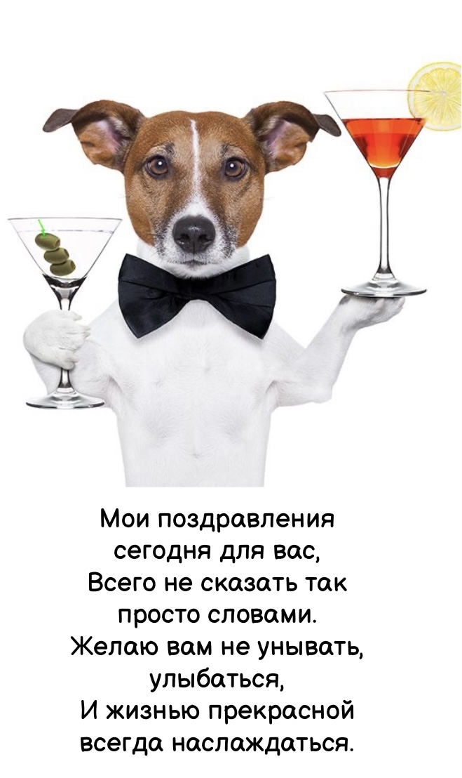 Мои поздравления сегодня для вас