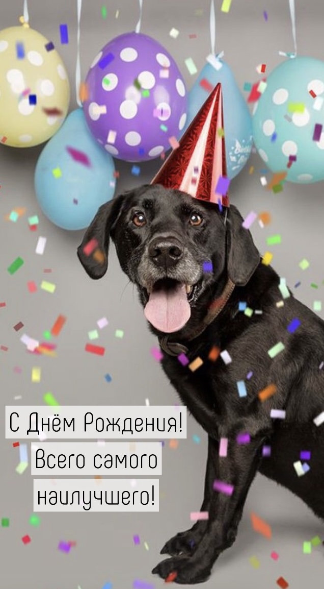 С Днём Рождения! Всего самого наилучшего!