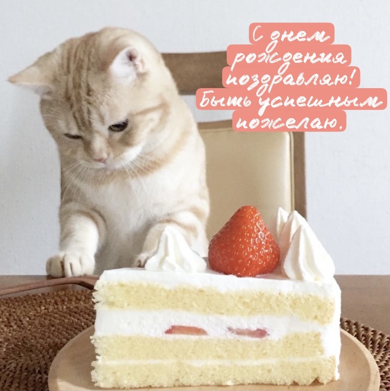 С днем рождения поздравляю! Быть успешным пожелаю.