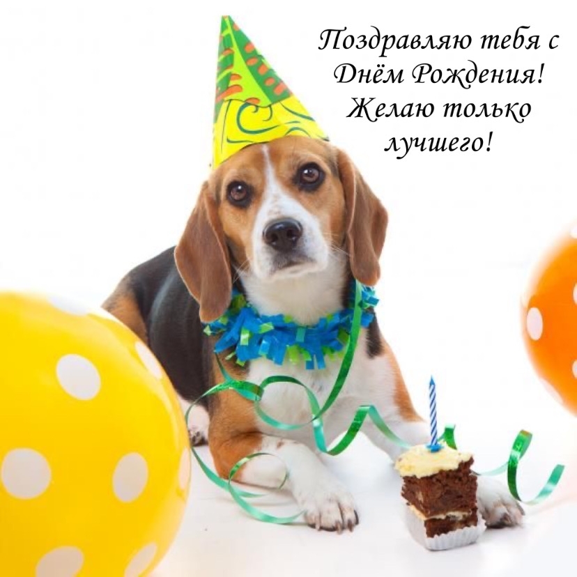 Поздравляю тебя с Днём Рождения! Желаю только лучшего!