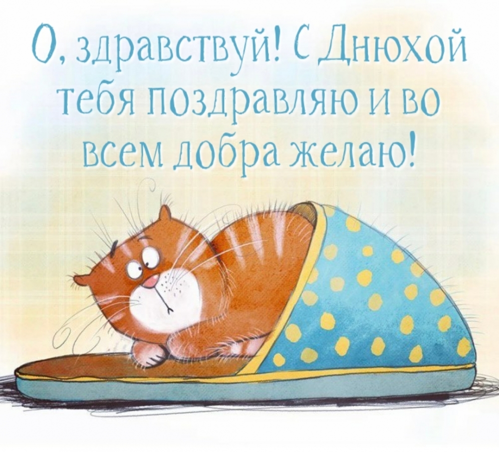 О, здравствуй! С Днюхой тебя поздравляю и во всем добра желаю!
