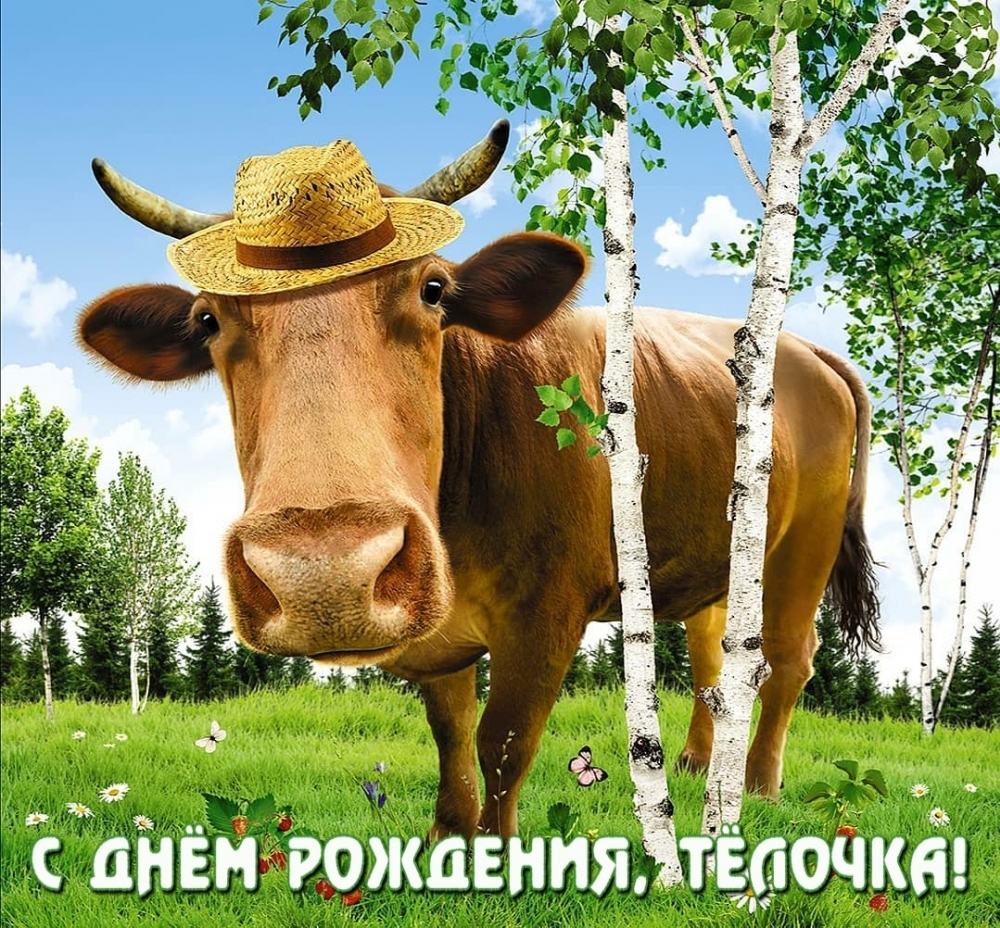 С днём рождения, тёлочка!
