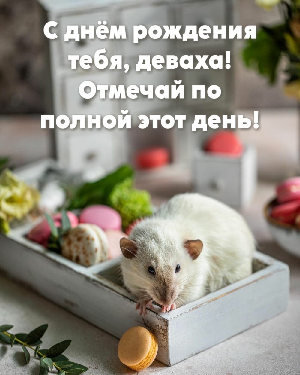 С днём рождения тебя, деваха! Отмечай по полной этот день!