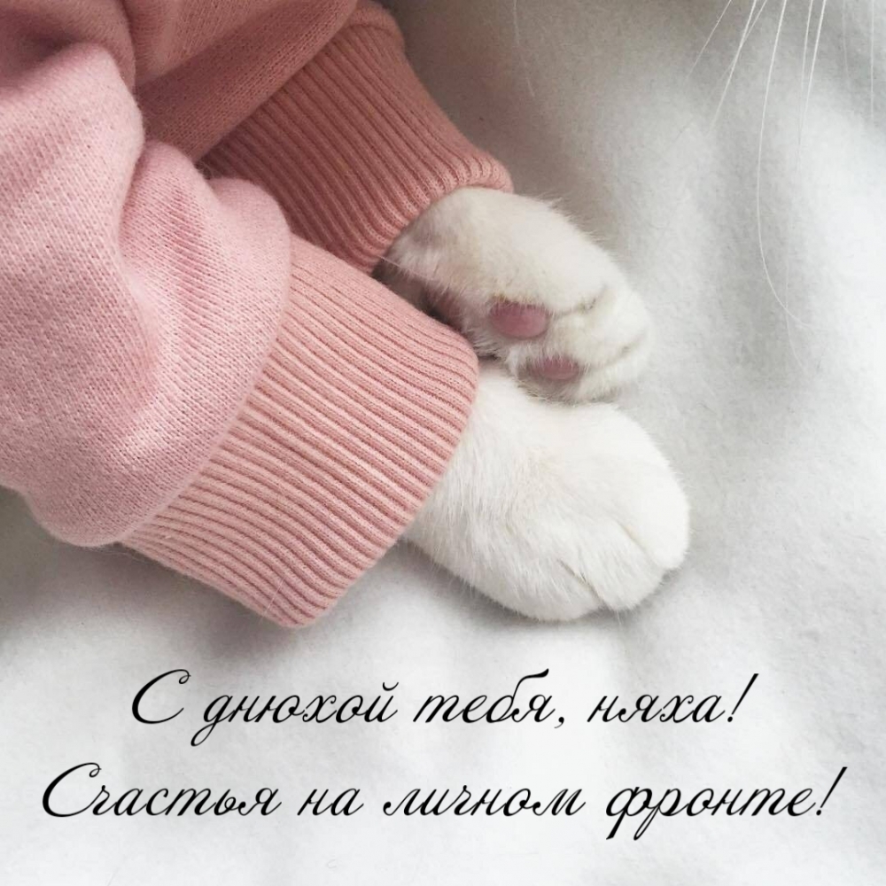 С днюхой тебя, няха! Счастья на личном фронте!