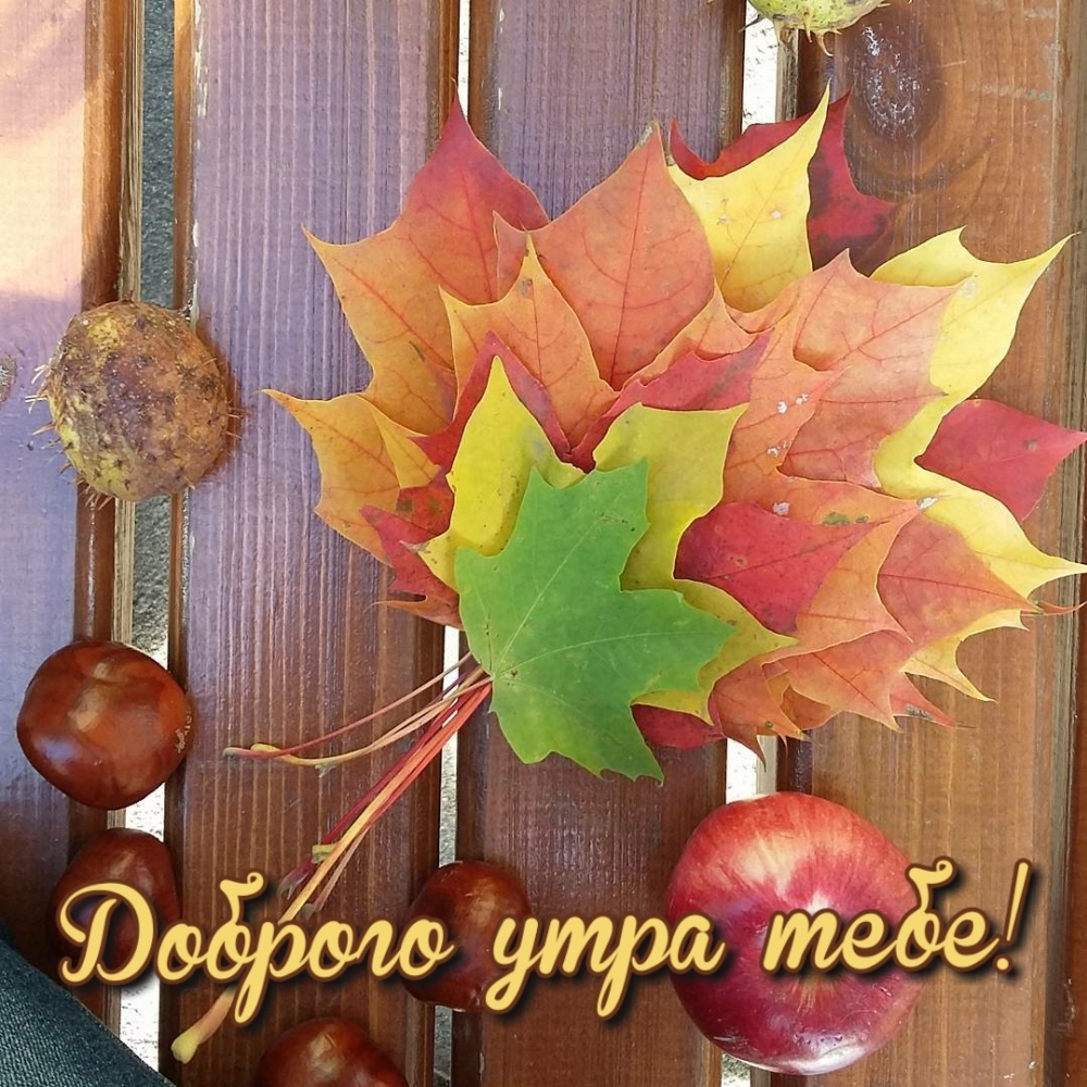 Доброго утра тебе!