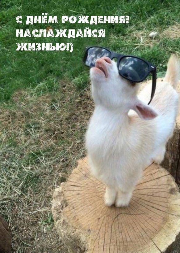 С днём рождения! Наслаждайся жизнью!)