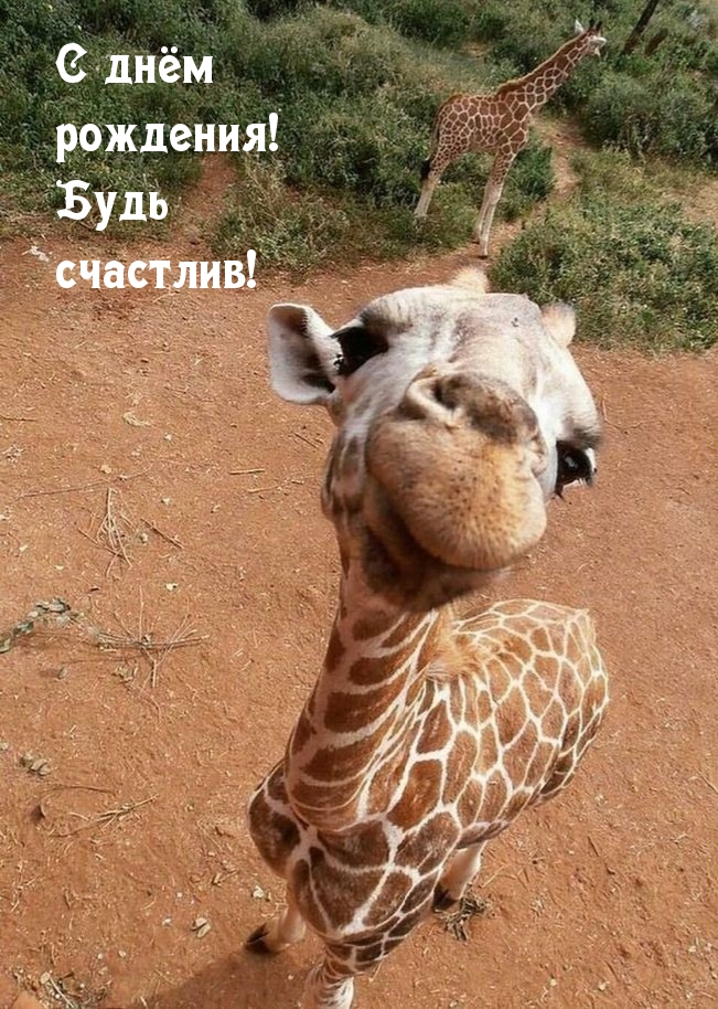 С днём рождения! Будь счастлив!