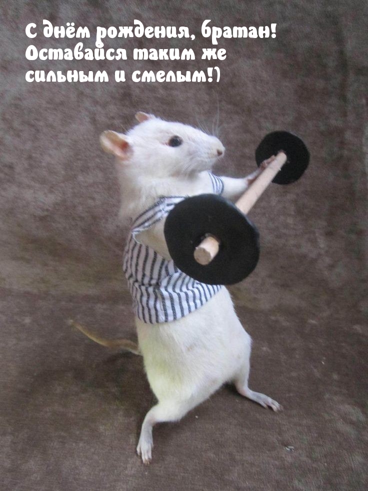 С днём рождения, братан! Оставайся таким же сильным