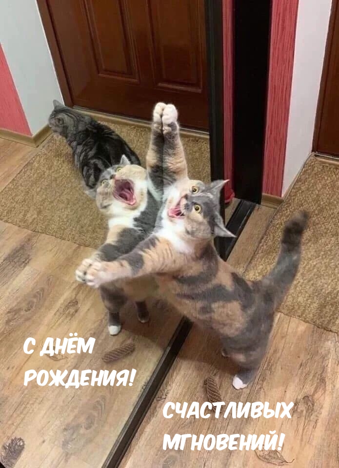С днём рождения! Счастливых мгновений!