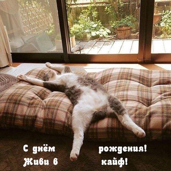 С днём рождения! Живи в кайф!