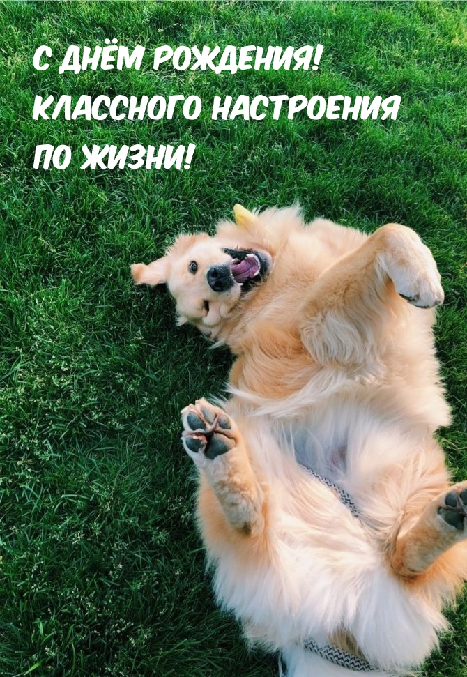 С днём рождения! Классного настроения по жизни!