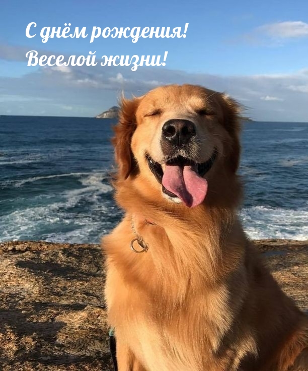 С днём рождения! Веселой жизни!
