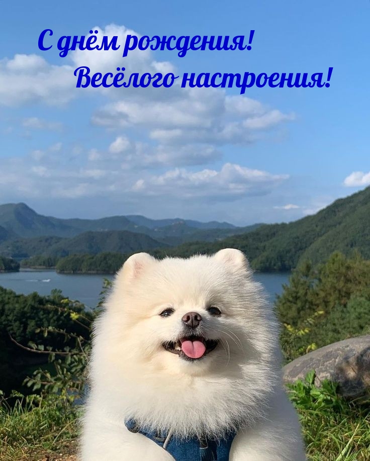 С днём рождения! Весёлого настроения!