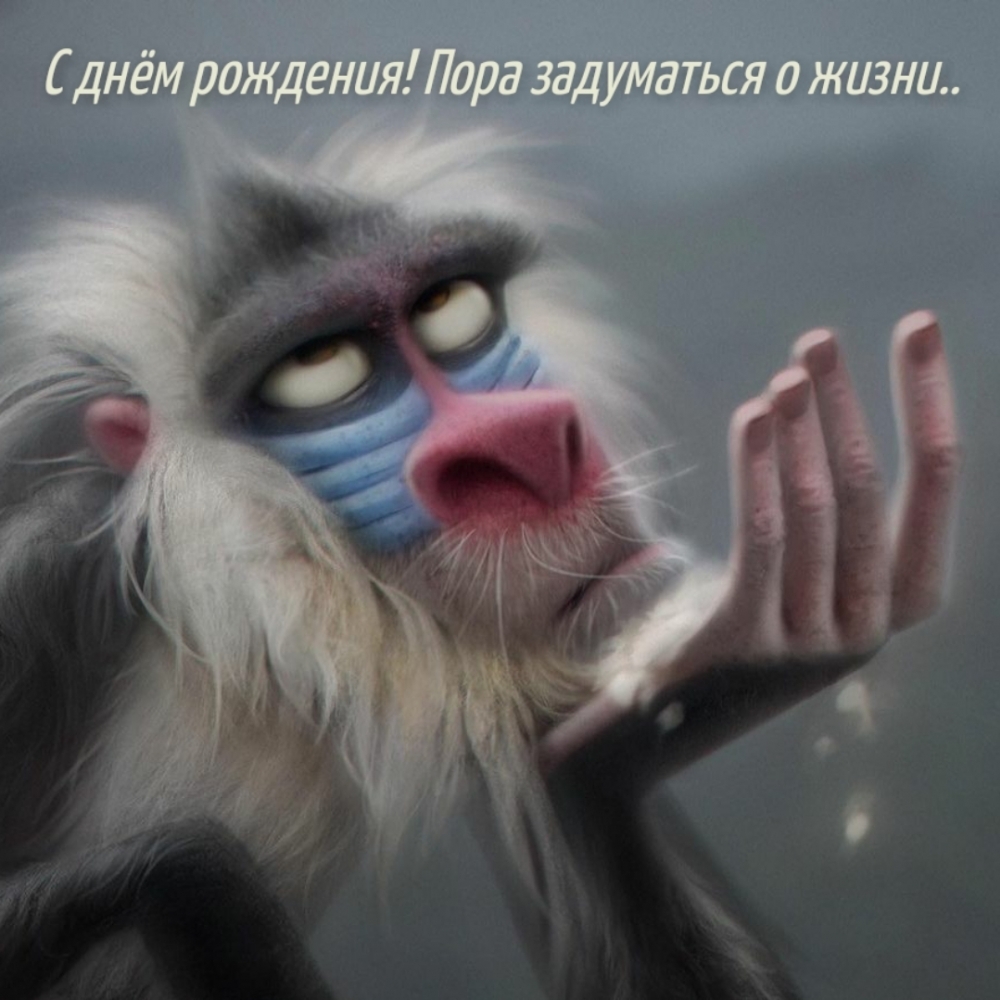 С днём рождения! Пора задуматься о жизни..