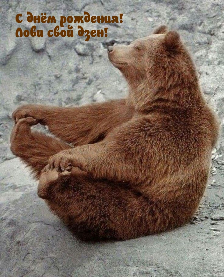 С днём рождения! Лови свой дзен!