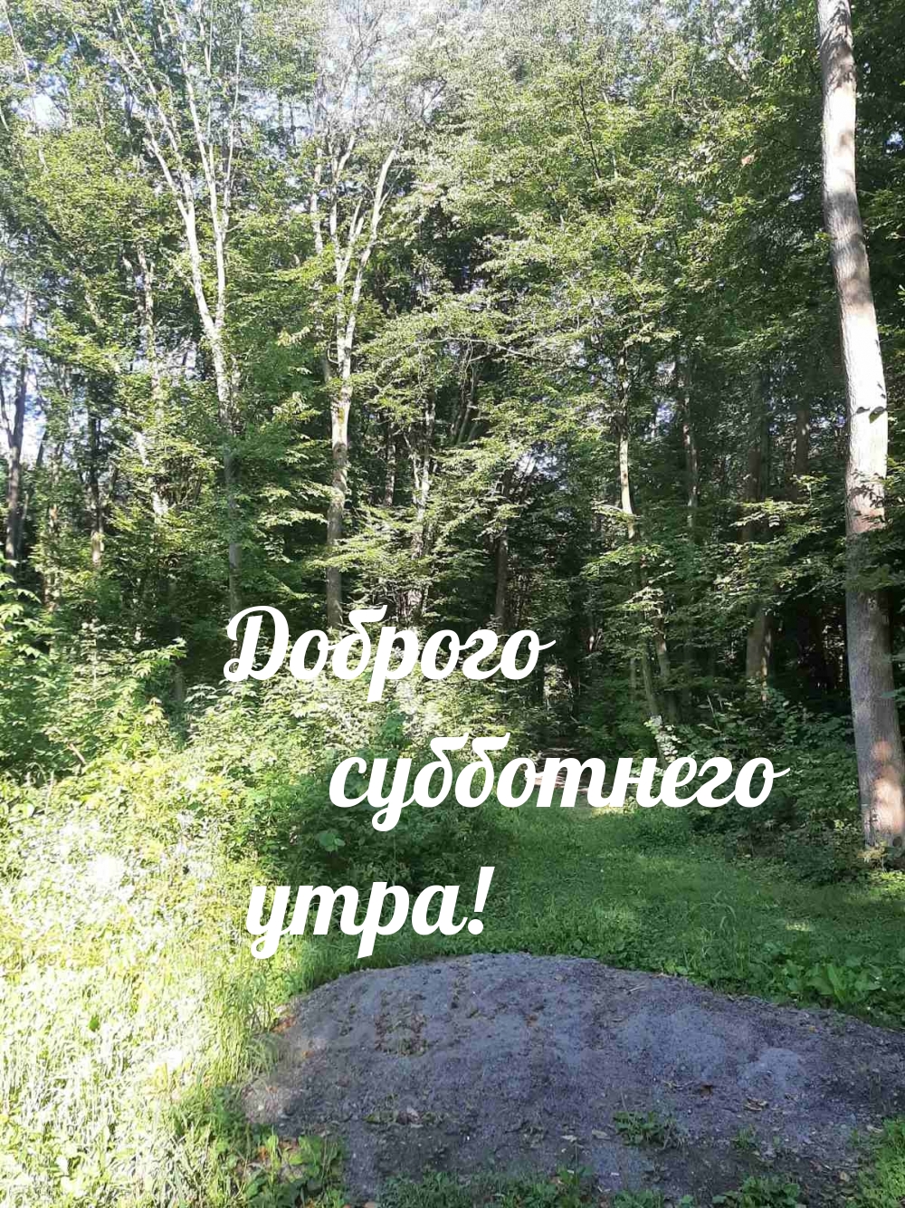 Доброго субботнего утра!