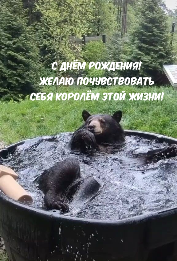 С днём рождения! Желаю почувствовать себя королём этой жизни!
