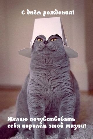 С днём рождения! Желаю почувствовать себя королём этой жизни!