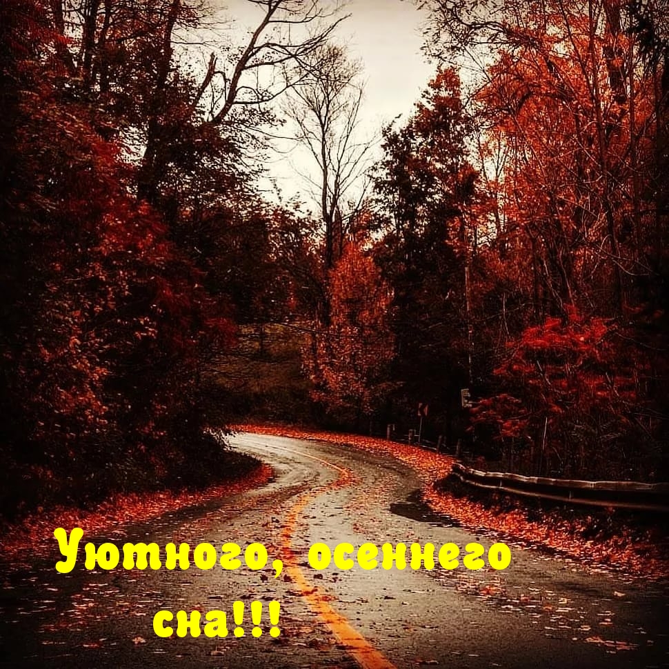 Уютного, осеннего сна!