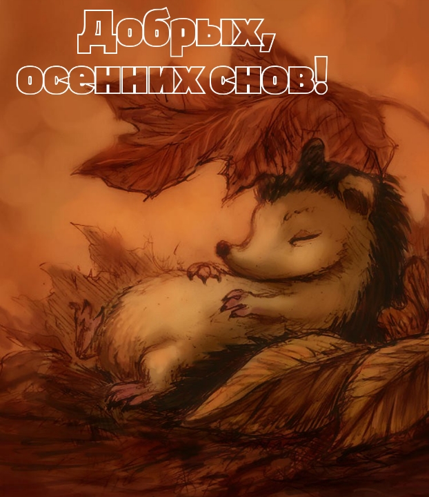 Добрых, осенних снов!