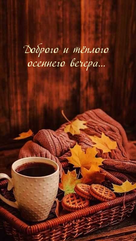 Доброго и тёплого осеннего вечера…