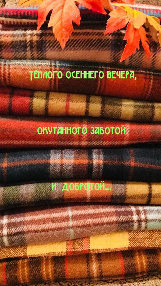 Тёплого осеннего вечера, окутанного заботой и добротой…