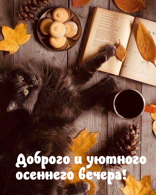 Доброго и уютного осеннего вечера!