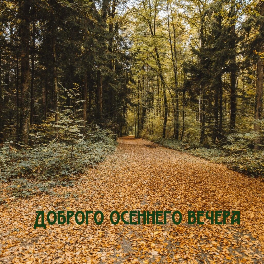 Доброго осеннего вечера