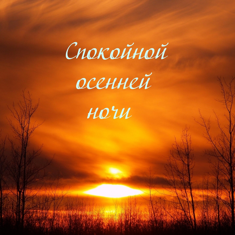 Спокойной осенней ночи