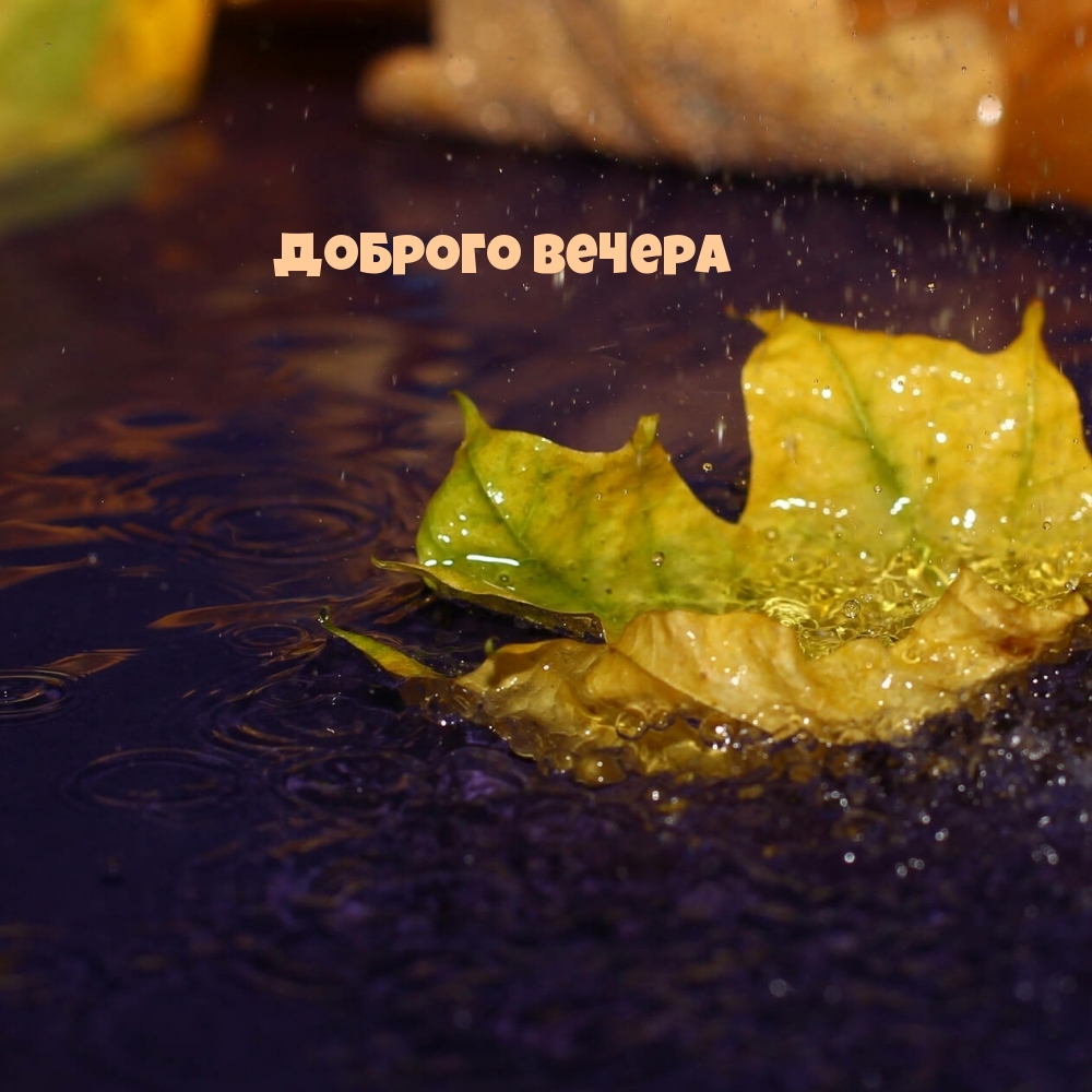 Доброго вечера