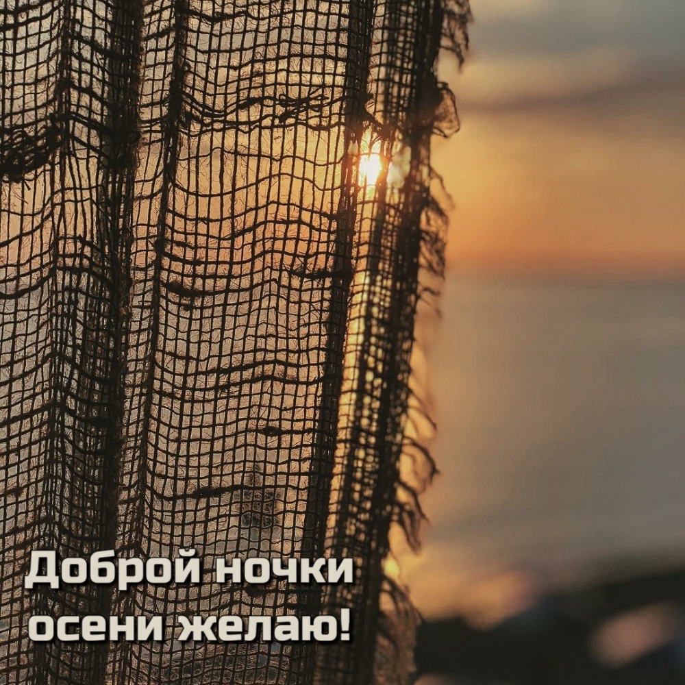 Доброй ночки осени желаю!