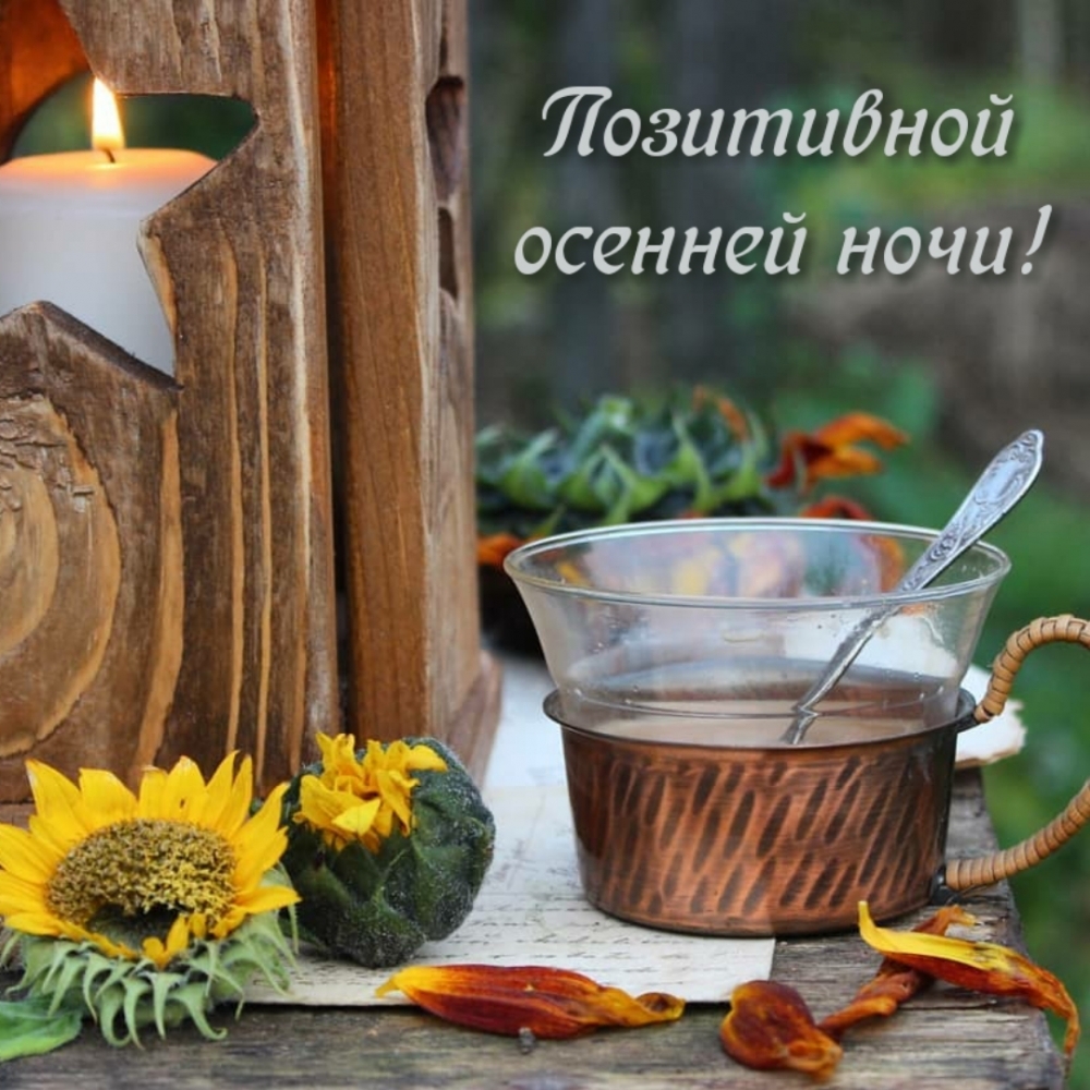 Позитивной осенней ночи!