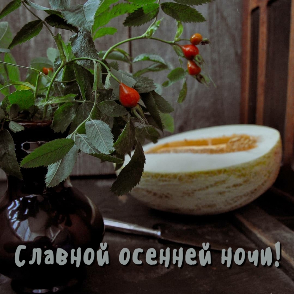 Славной осенней ночи!