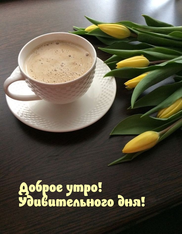 Доброе утро! Удивительного дня!