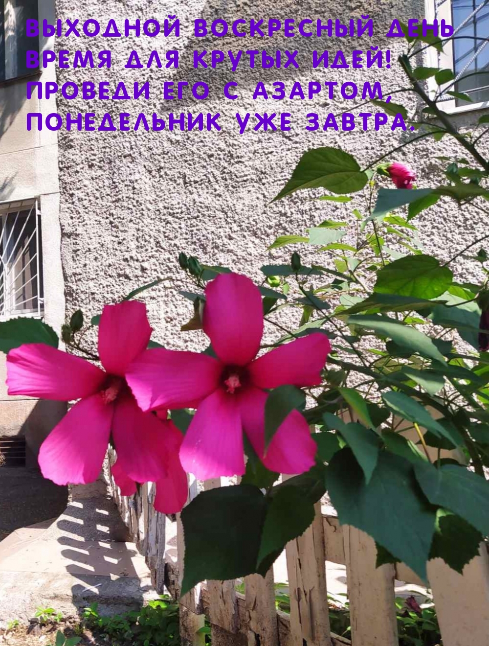Картинки с надписями.  Выходной воскресный день время для крутых идей!.