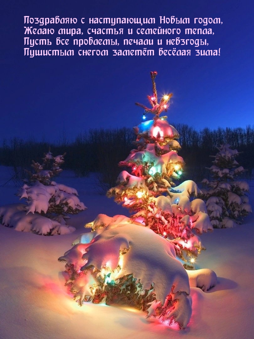 Поздравляю с наступающим Новым годом, желаю мира, счастья
