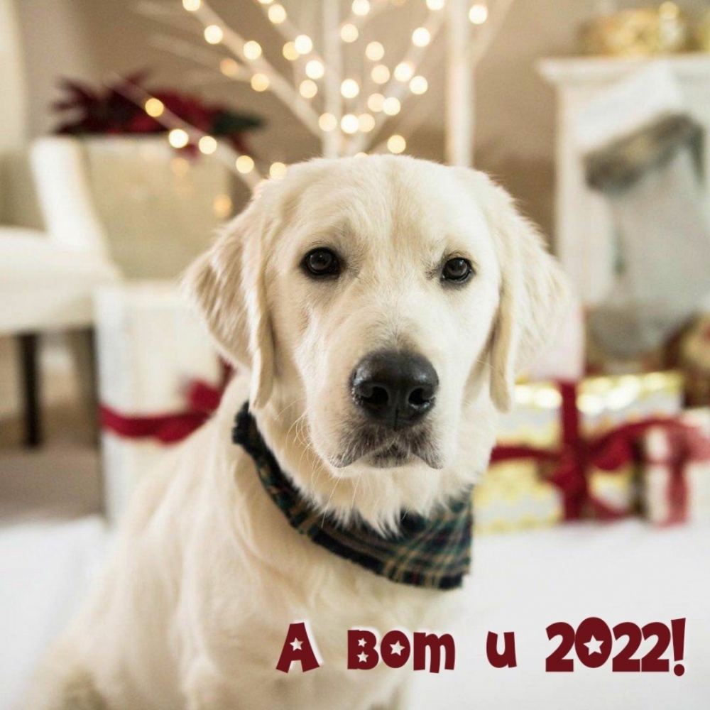 А вот и 2022!
