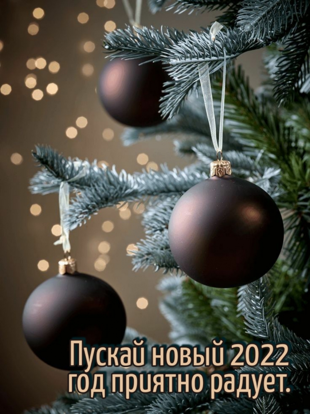 Пускай новый 2022 год приятно радует.