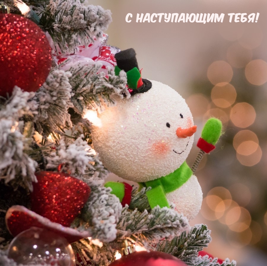 С Наступающим тебя!