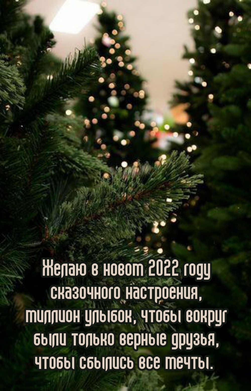 Желаю в новом 2022 году сказочного настроения