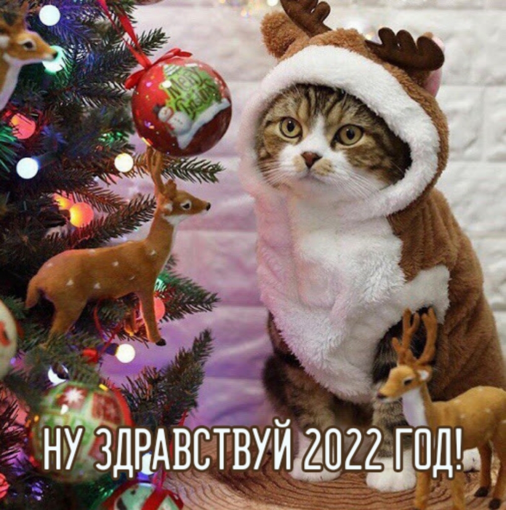 Ну здравствуй 2022 год!