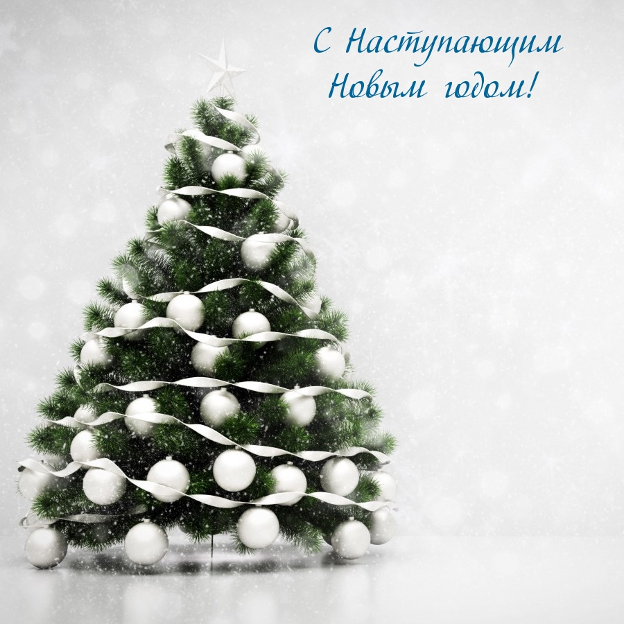 С Наступающим Новым годом!