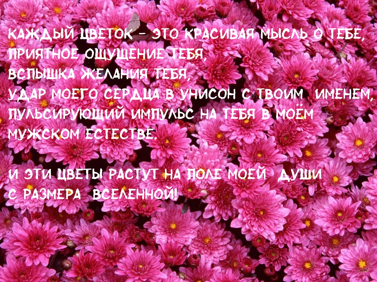 Каждый цветок — это красивая мысль о Тебе, приятное ощущение Тебя